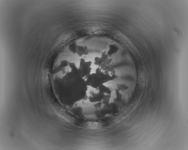 X0000111460169200907271258