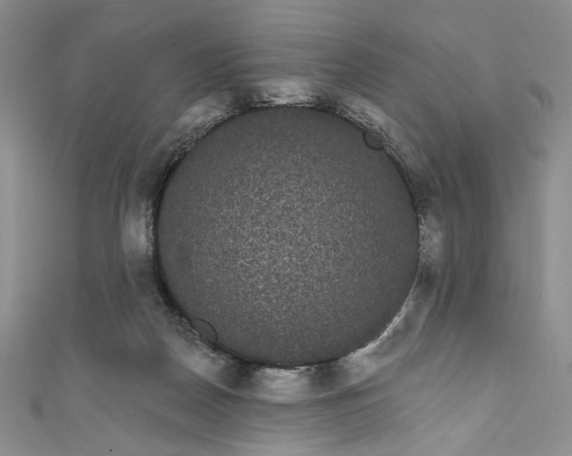 X0000111460170200907271258