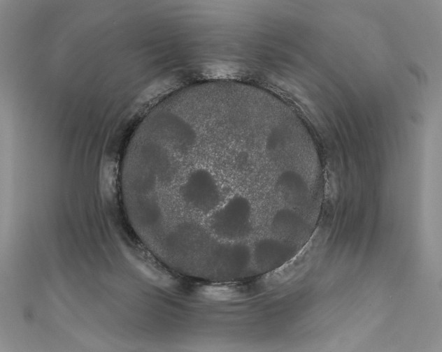 X0000111460171200907271258