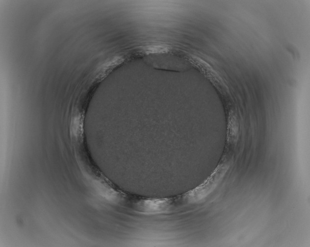 X0000111460172200907271258