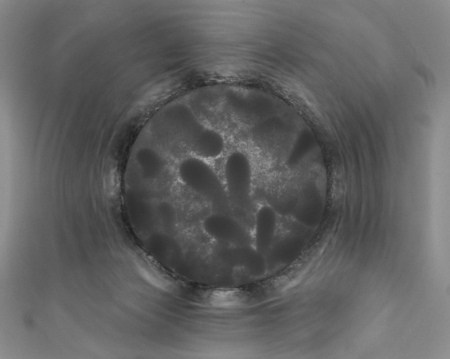 X0000111460173200907271258