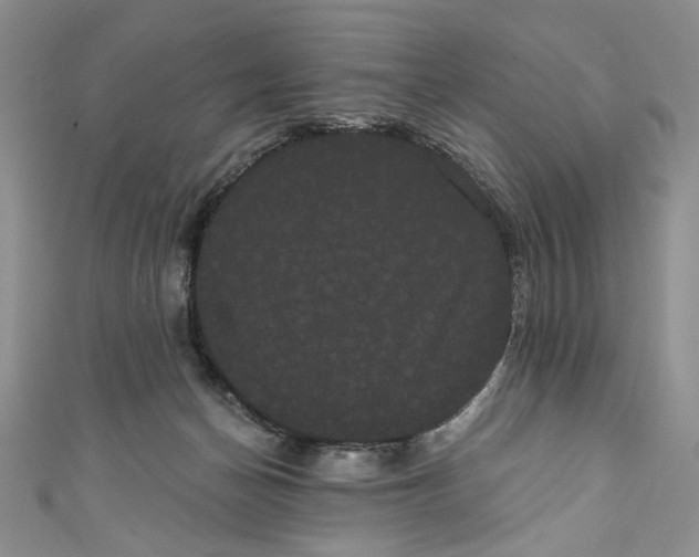 X0000111460174200907271258