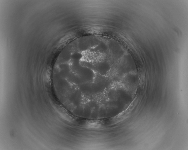 X0000111460175200907271258