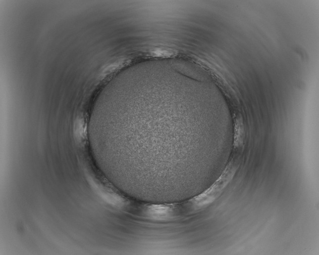 X0000111460176200907271258