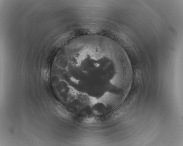 X0000111460177200907271258