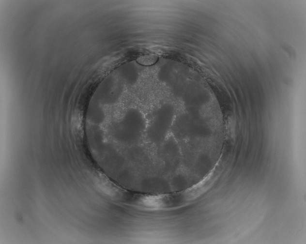 X0000111460178200907271258