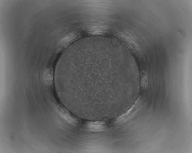 X0000111460179200907271258