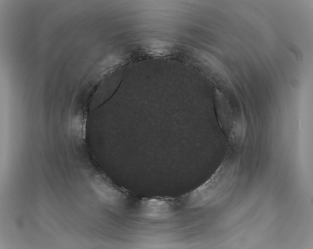 X0000111460180200907271258