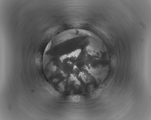 X0000111460181200907271258