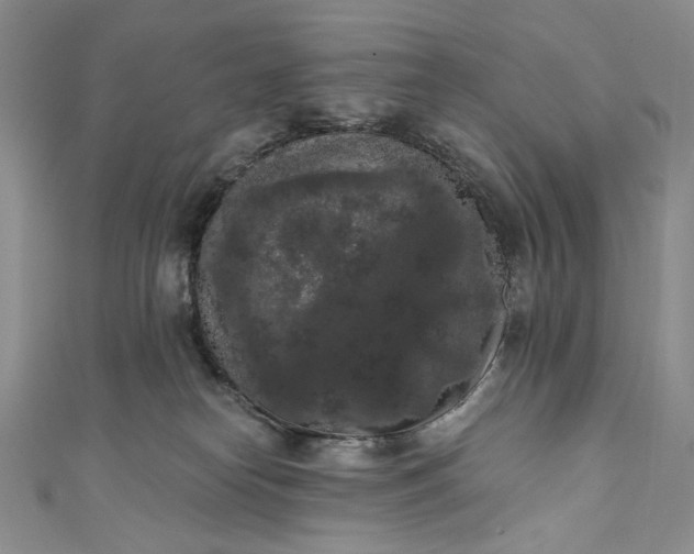 X0000111460182200907271258