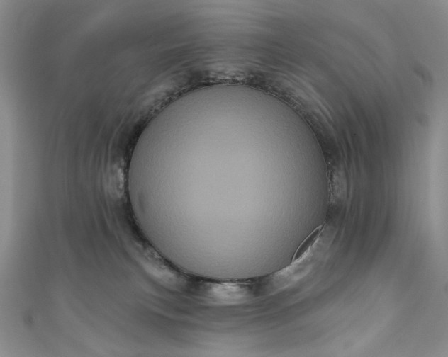 X0000111460183200907271258