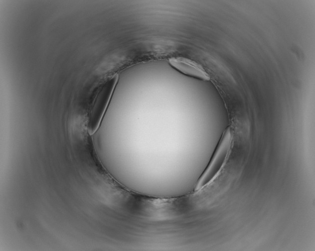X0000111460184200907271258