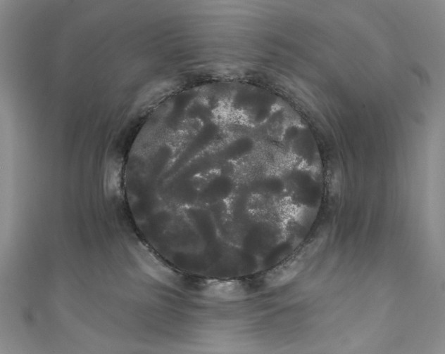 X0000111460185200907271258