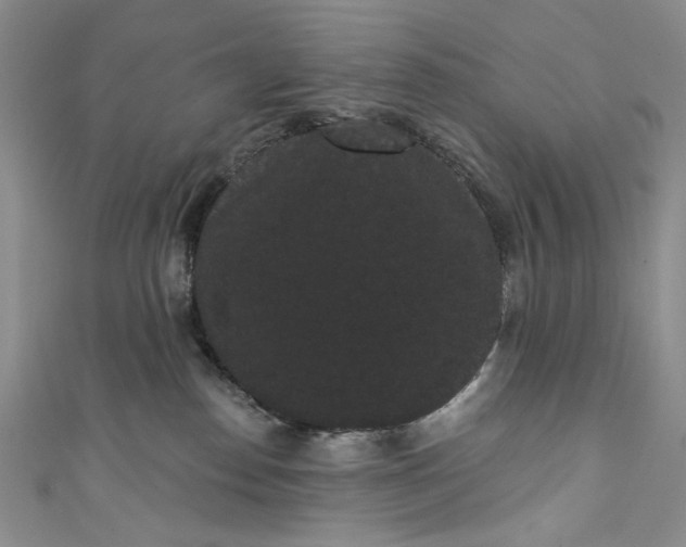 X0000111460186200907271258