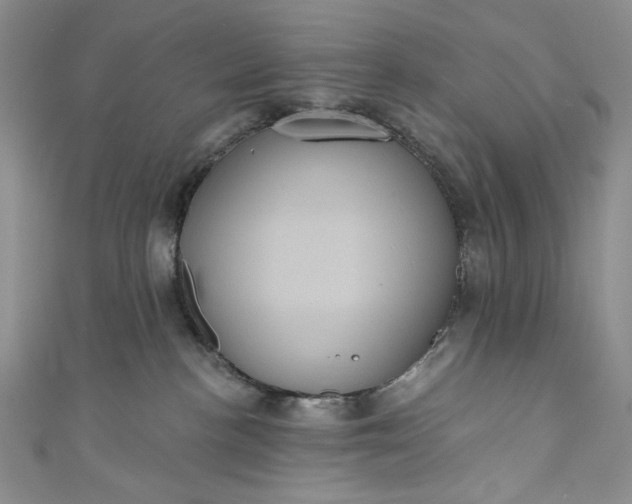 X0000111460188200907271258