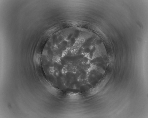 X0000111460189200907271258