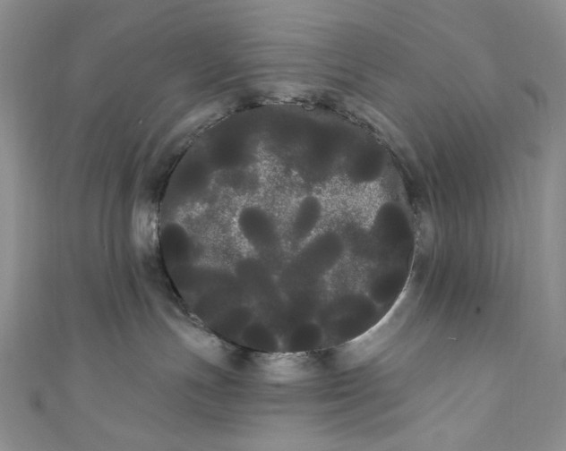 X0000111460191200907271259