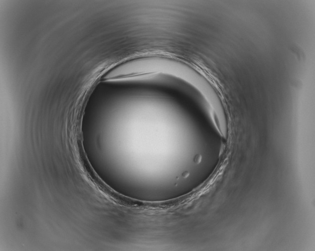 X0000111460193200907271258