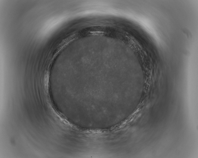 X0000111460194200907271258