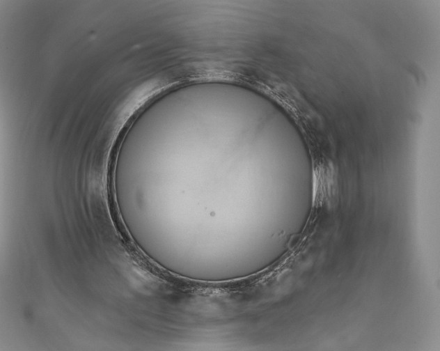 X0000111460195200907271258