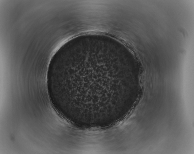 X0000111460196200907271258