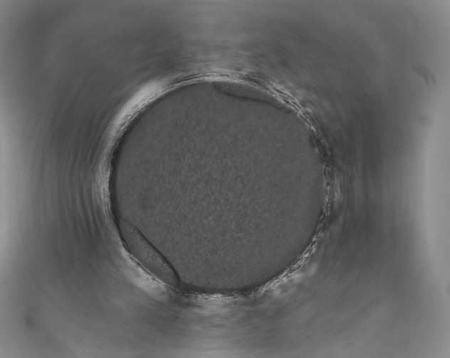 X0000111460197200907271258