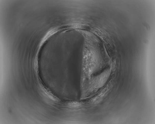X0000111460198200907271258