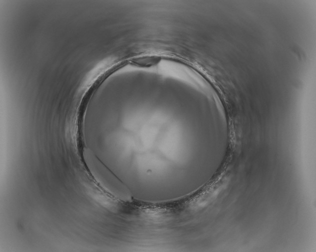 X0000111460199200907271258