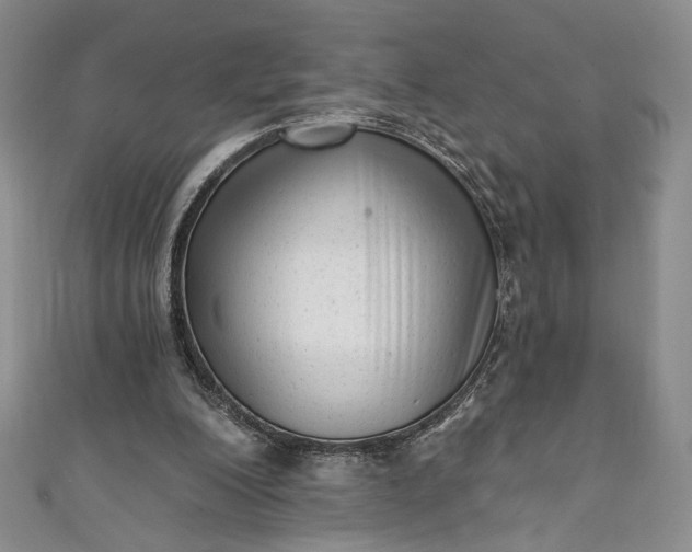 X0000111460200200907271258