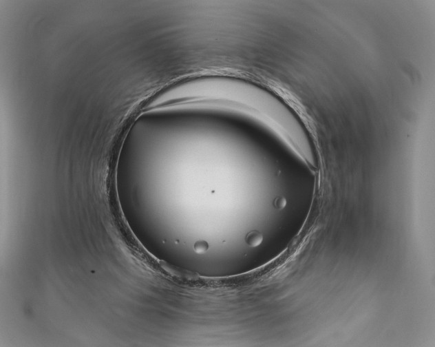 X0000111460201200907271258