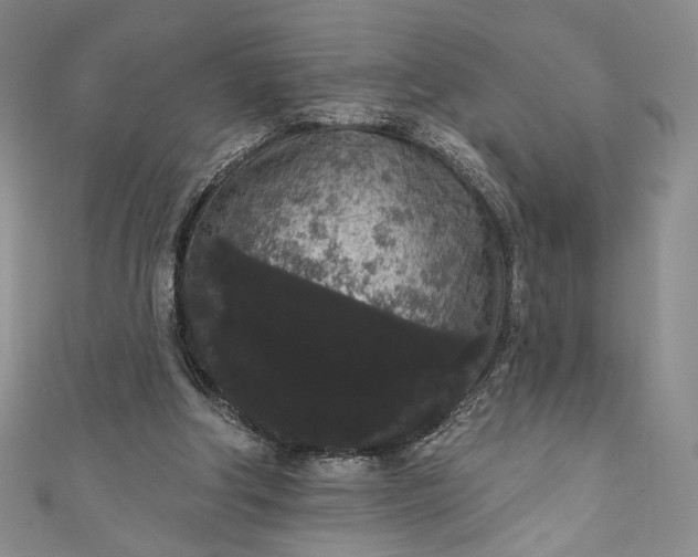 X0000111460202200907271258