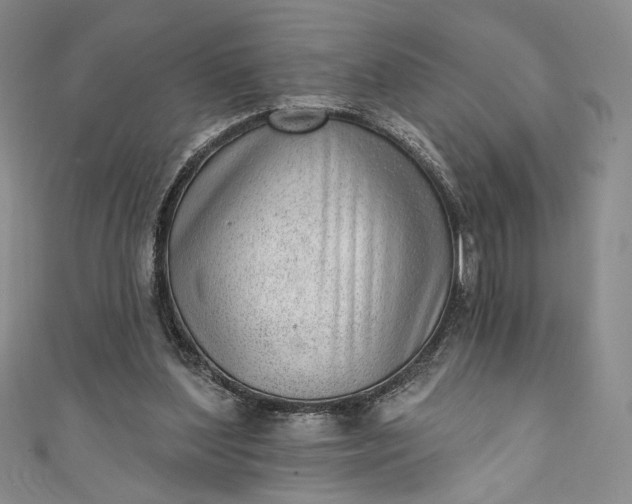 X0000111460204200907271258