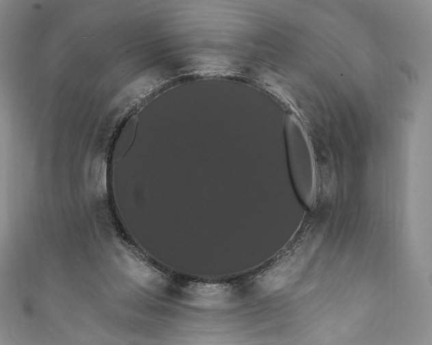 X0000111460205200907271258