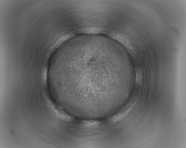 X0000111460206200907271258