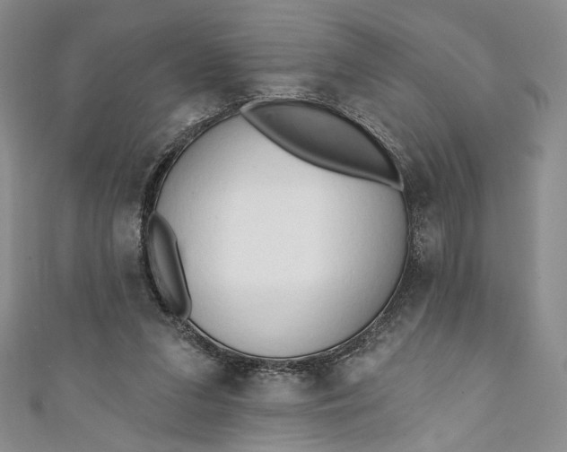 X0000111460207200907271258