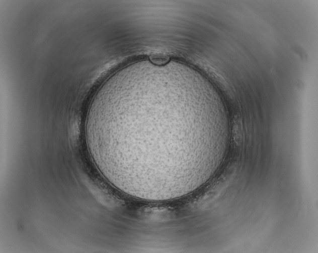 X0000111460208200907271258