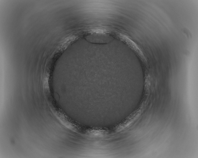 X0000111460209200907271258
