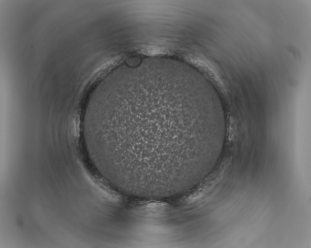 X0000111460210200907271258