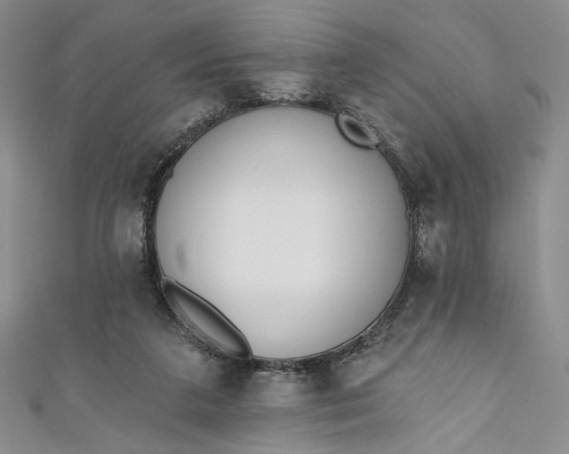 X0000111460211200907271258