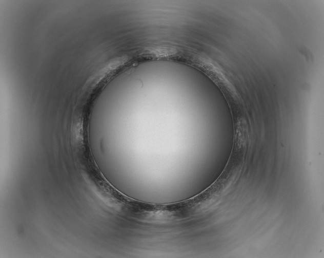 X0000111460212200907271258
