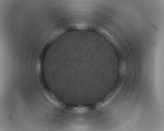 X0000111460213200907271258