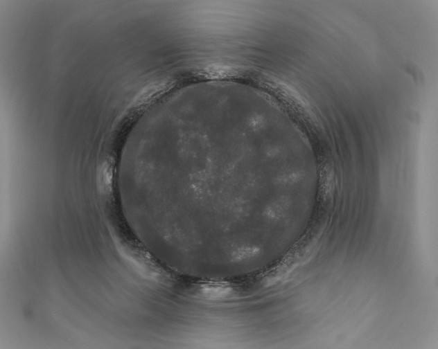 X0000111460214200907271258