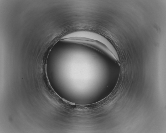 X0000111460215200907271258