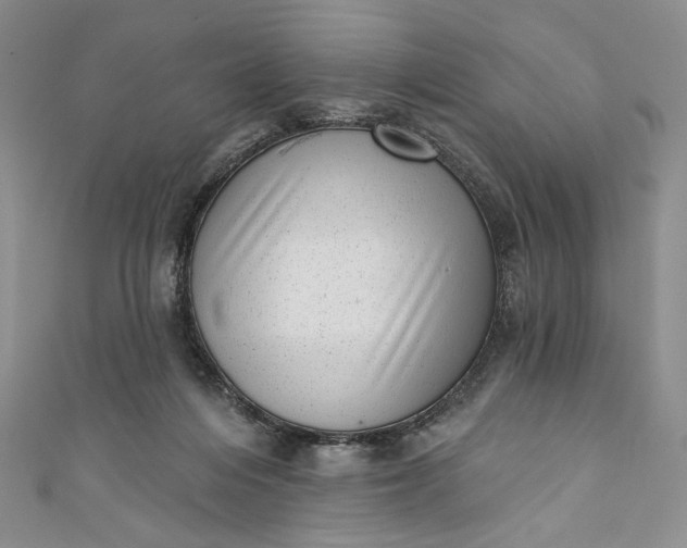 X0000111460216200907271258
