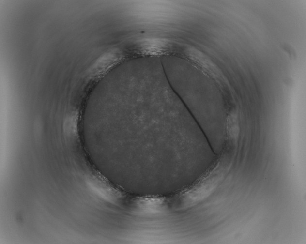 X0000111460217200907271258