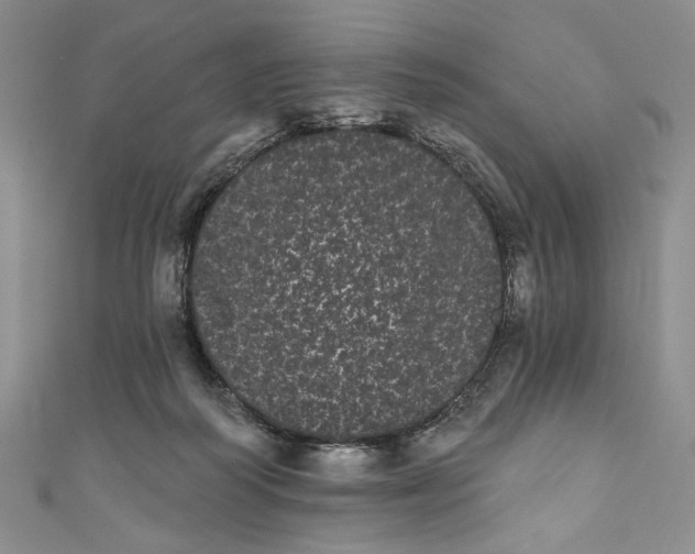 X0000111460218200907271258