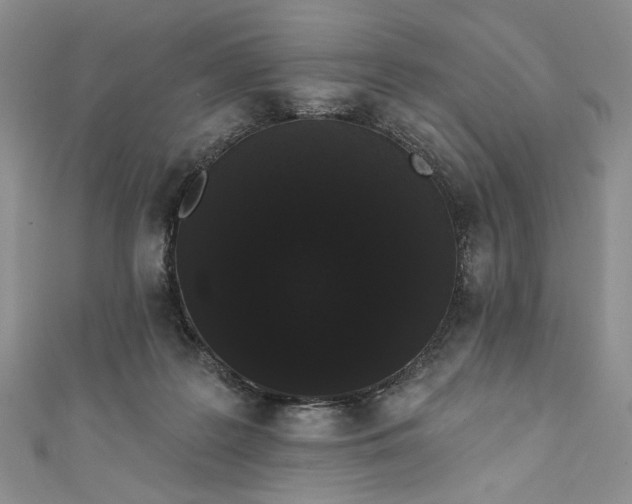 X0000111460219200907271258