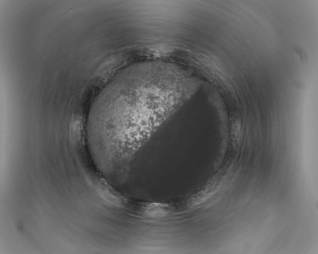X0000111460222200907271258
