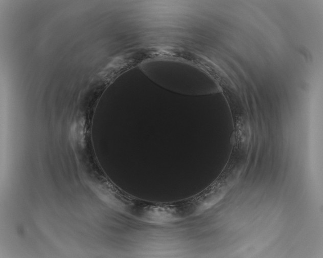 X0000111460223200907271258