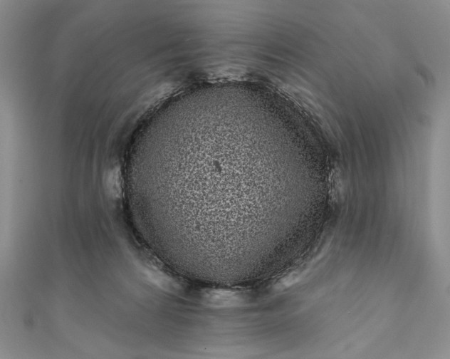 X0000111460224200907271258